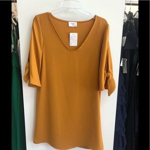 NWT Everly Shift Dress